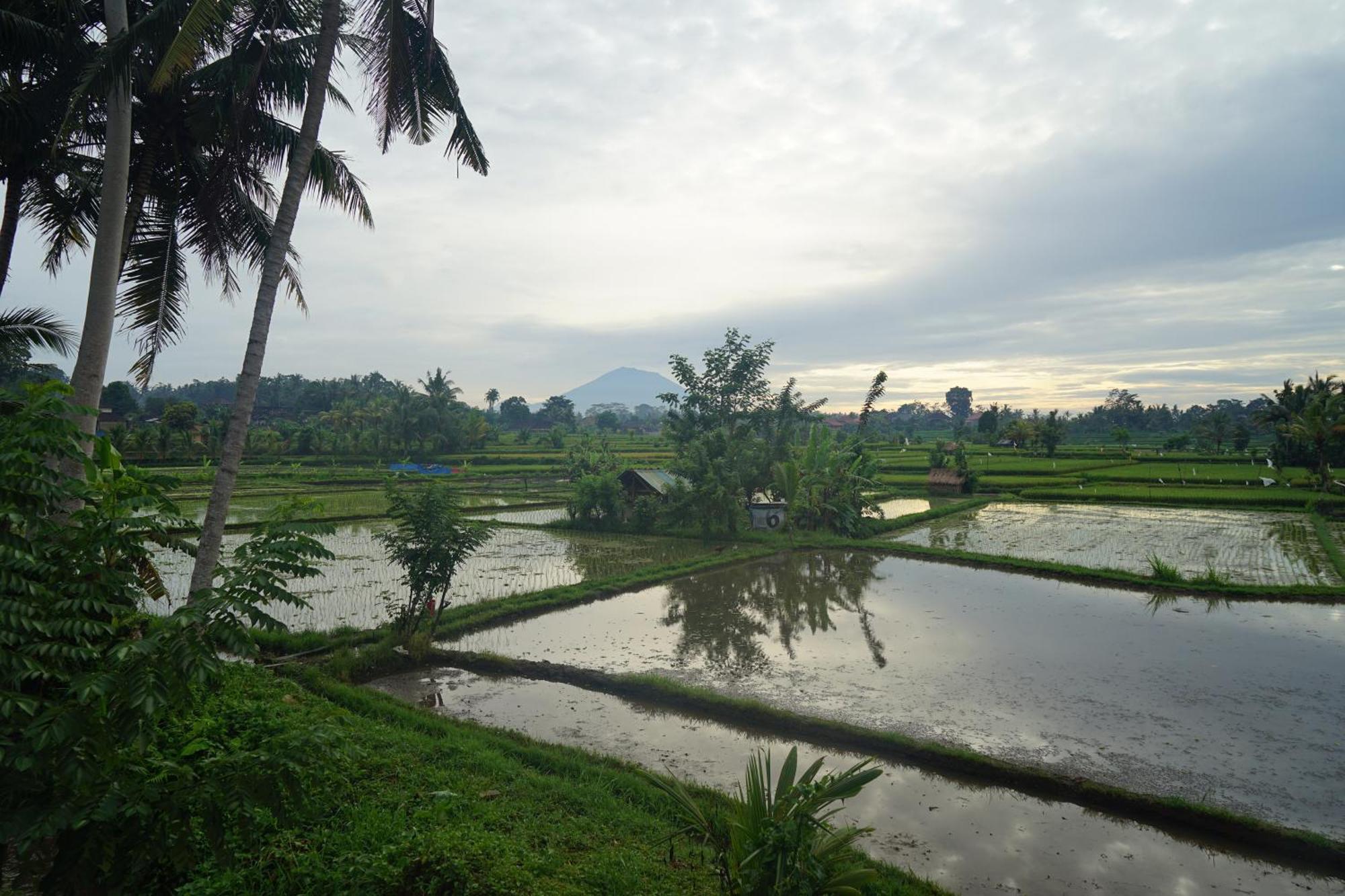 Santun Luxury Private Villas Ubud Szoba fotó